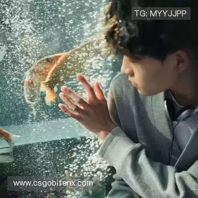 孔帆珩